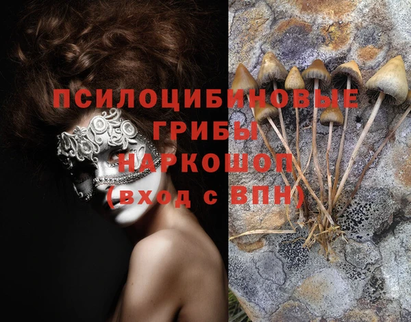 mdpv Баксан