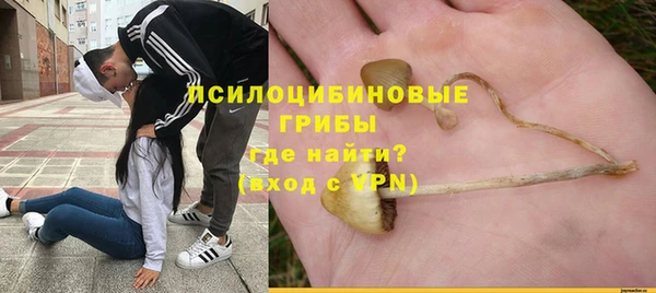 mdpv Баксан