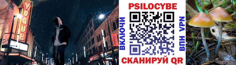 купить   Семикаракорск  Псилоцибиновые грибы Psilocybine cubensis 